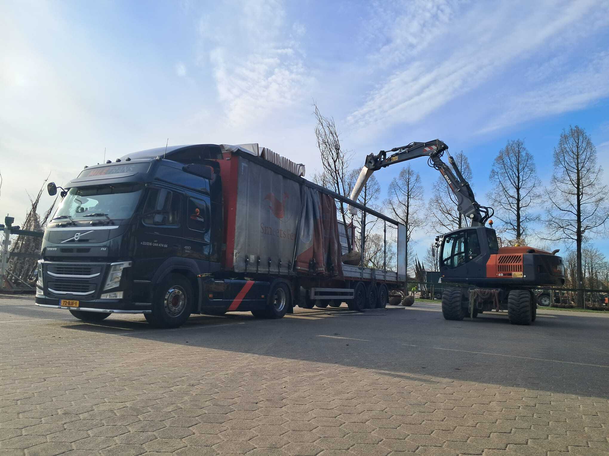 Professioneel internationaal koeltransport door MileTrans