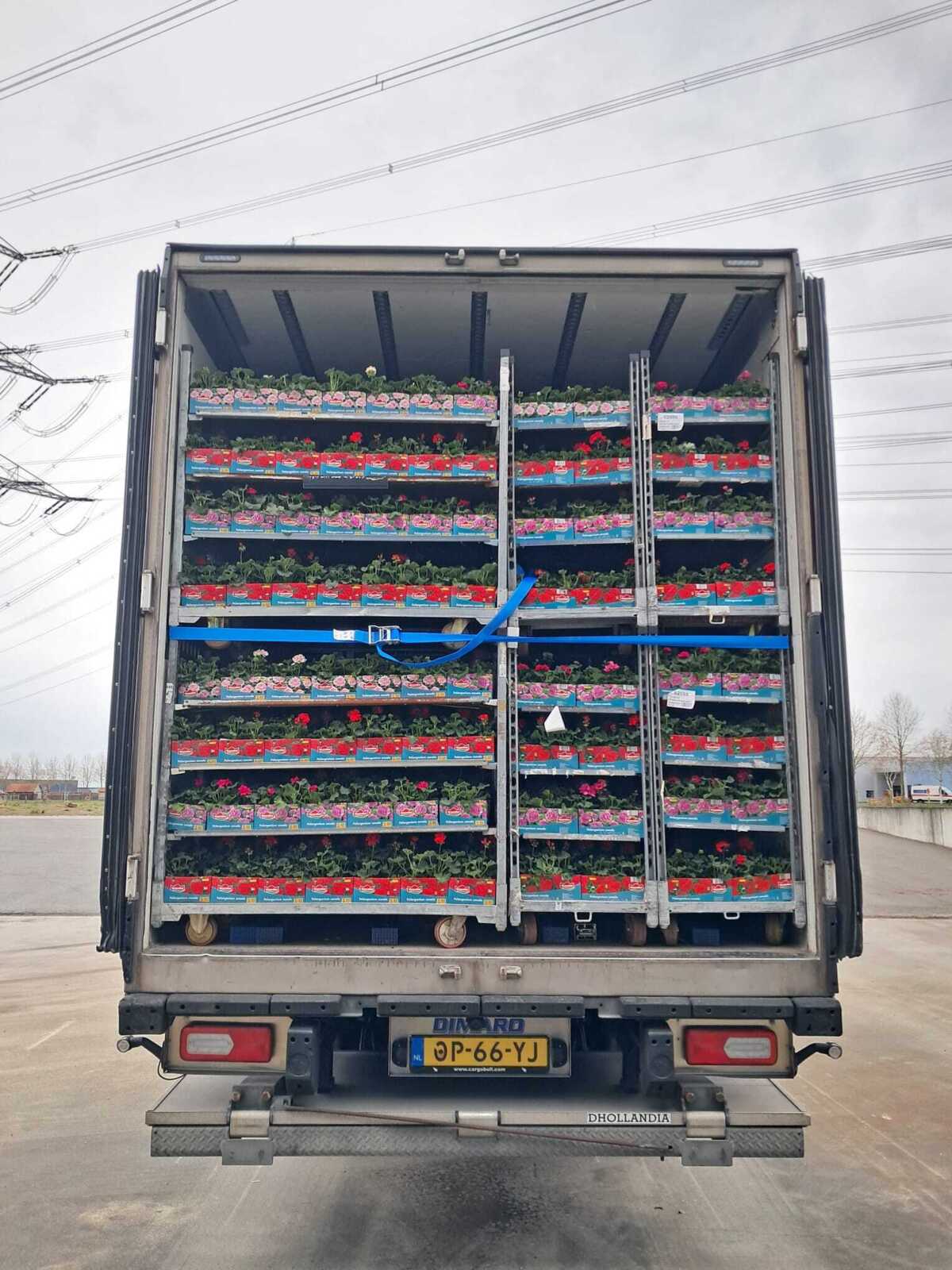 MileTrans vrachtwagen gevuld met verse bloemen van een Duitse kweker voor levering bij het Lidl DC.